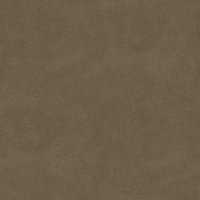 Asset preview